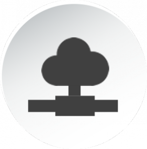 icon Network Management